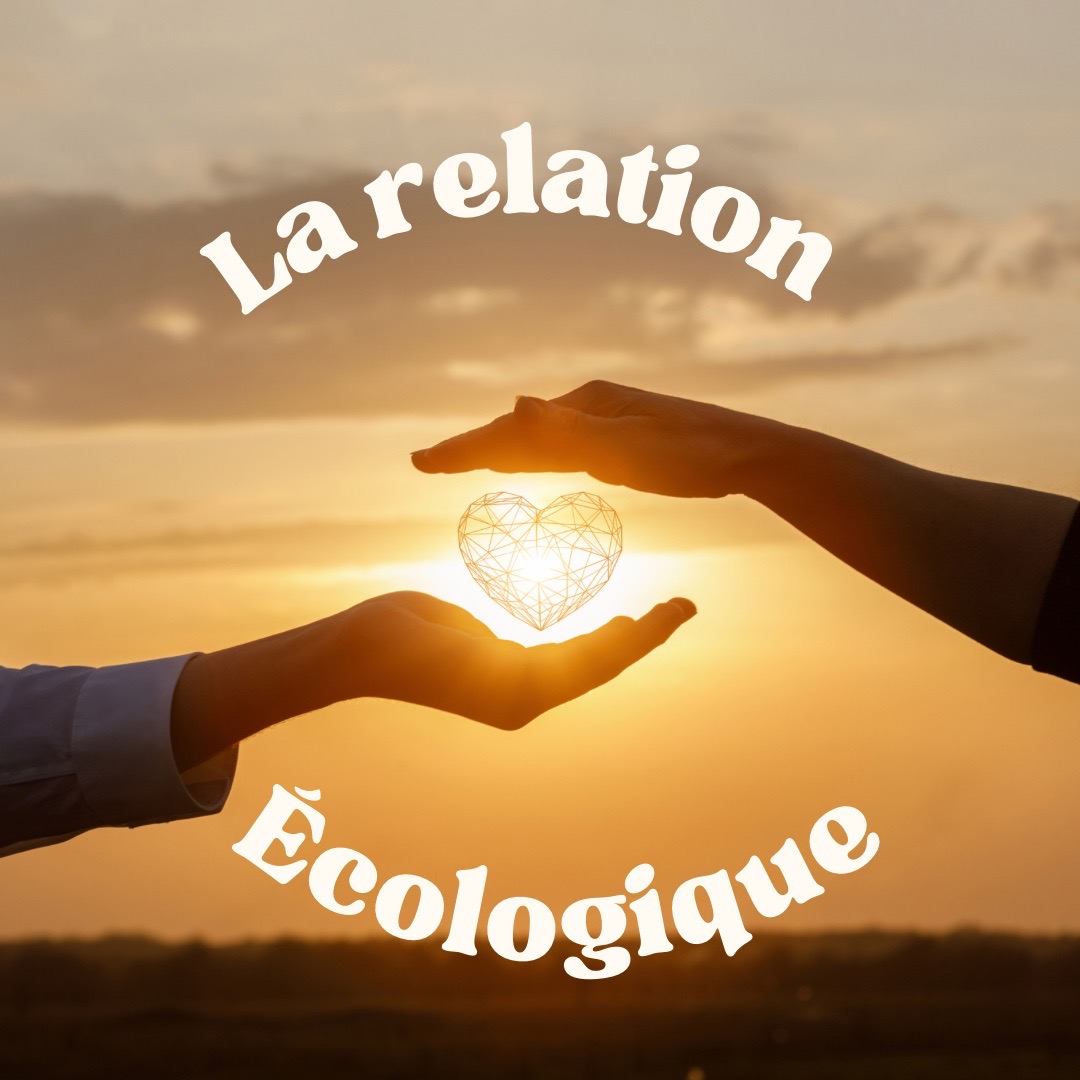 la relation écologique