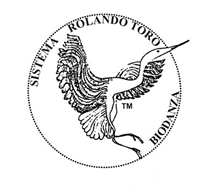 Logo Biodanza N2