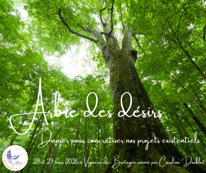 Stage "Arbre des désirs"