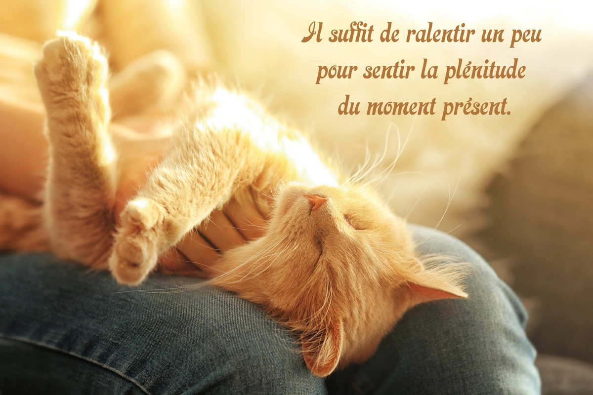 citation moment present