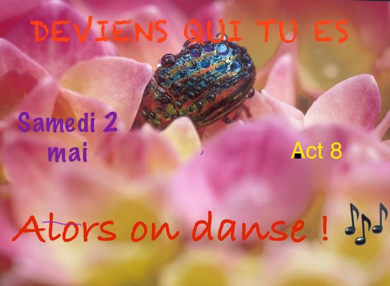 Alors on danse !