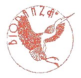 Contact Serge Lamproux - Journées Biodanza en 2023