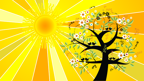 Abondance Arbre ete